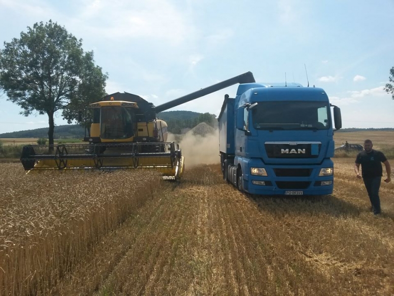 newholland cx 6080
