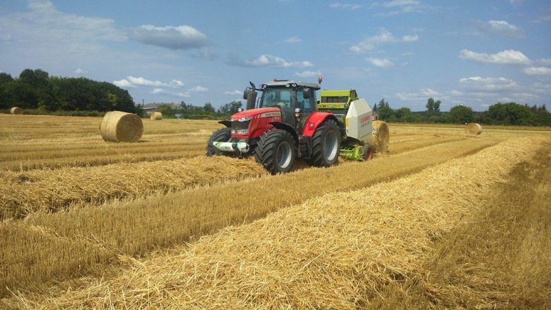 Massey 7618 Claas Variant 280