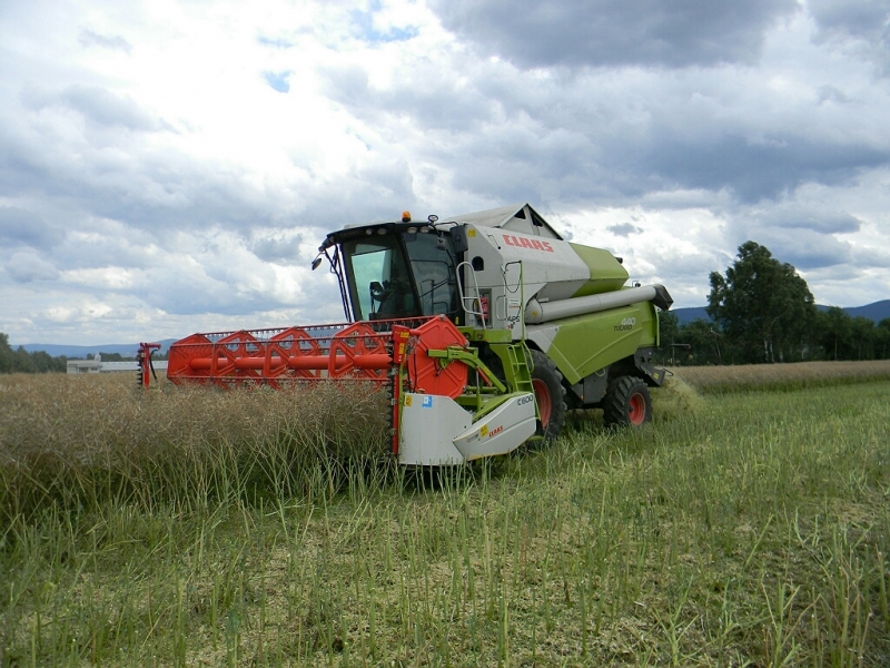 Claas Tucano 440