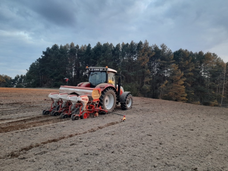 Steyr 6125 Profi + Ozdoken