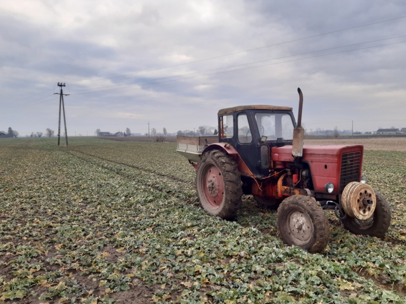 MTZ 50 i Rauch Komet.