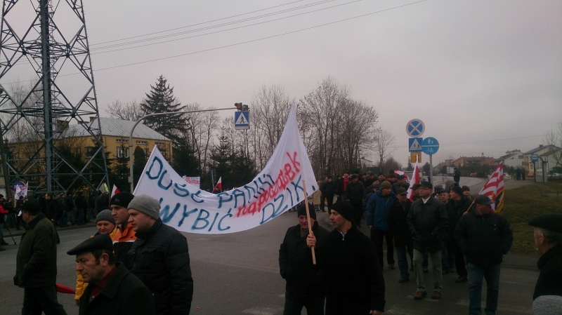 Protest rolników przeciwko złej sytuacji na rynku wieprzowiny