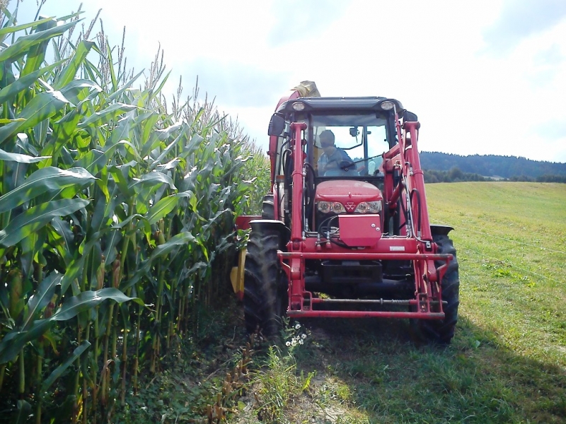 MF 3635 Pottinger MEX 2 Rotation