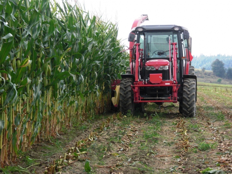 Massey Ferguson 3635