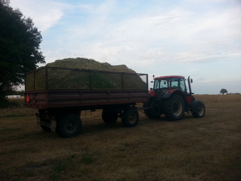 Zetor Forterra 9641 + Brandys 9t