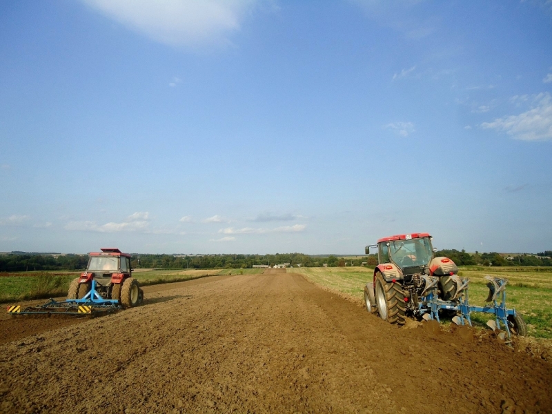 Zetor 3011 + Lemken Koralle & Forterra 115 + Europal 5