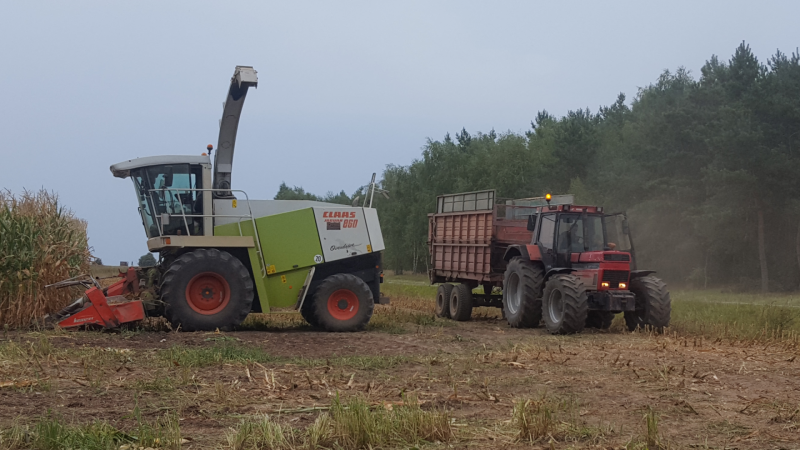 Claas Jaguar 860 & Case 1455