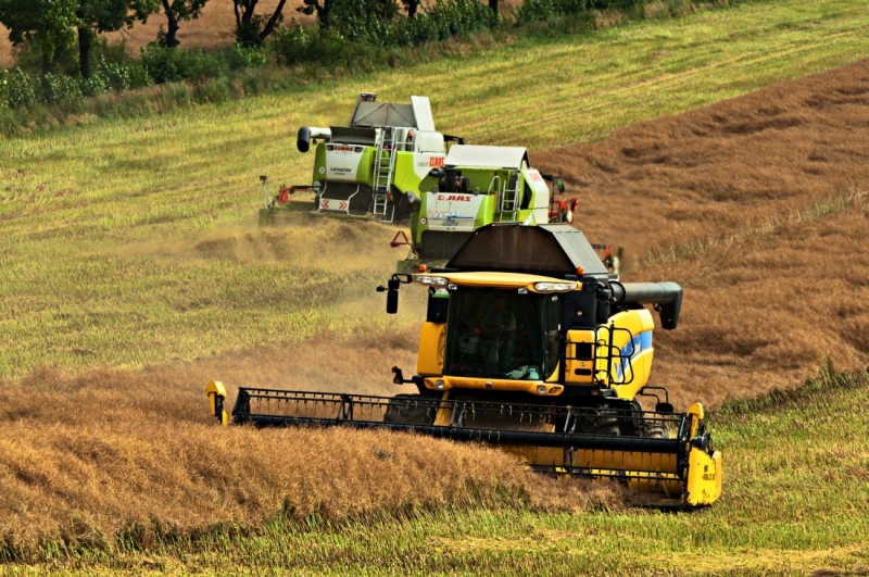 NH CX8070, Lexio 570 i Tucano 450