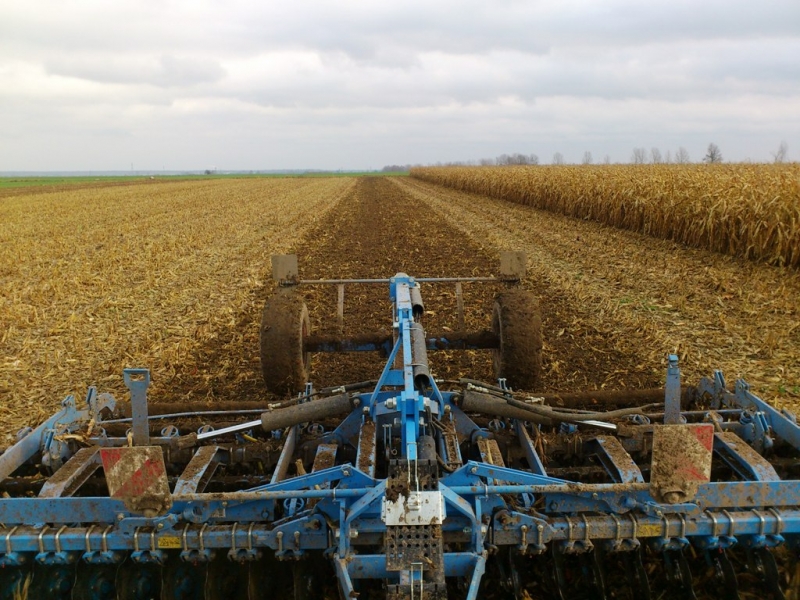 Lemken Rubin test