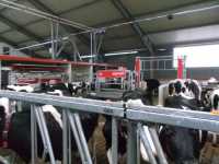 Lely Astronaut A4 i Lely Walkway