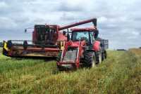 Case IH 1680 & maxxum multi 115