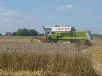 Claas Dominator 108