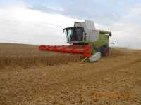 Claas Lexion 650