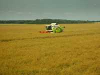 Claas Medion 310