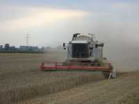 Claas Lexion 450