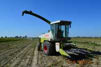 Claas Jaguar 690