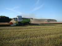 Claas Lexion 760tt