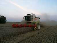 Claas