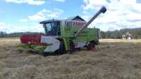 Claas Dominator 98