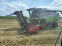 Lexion 430 + geringhoff