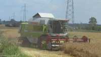 CLAAS DOMINATOR 108 SL MAXI