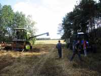 Claas Mercator 70 i NH TL90