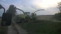 Claas Jaguar 860 VS Krone Big X 650