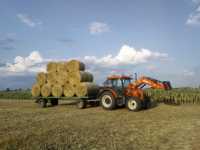 Zetor 7341 & Dłużyca