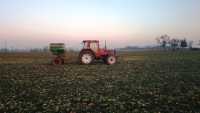 Fiatagri F100 Winner + Amazone ZAM 1500