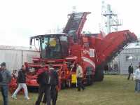 Grimme