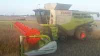 Claas Lexion 770tt