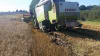 claas lexion 440