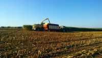 Krone BIG X 480 & Valtra N111 + Strautmann Super Vitese