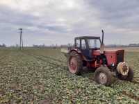 MTZ 50 i Rauch Komet.