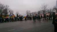 Protest rolników przeciwko złej sytuacji na rynku wieprzowiny