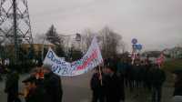 Protest rolników przeciwko złej sytuacji na rynku wieprzowiny