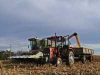 Massey Ferguson 255 & Claas Dominator 108 Maxi