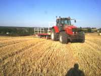 Massey Ferguson 6485