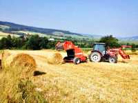 Massey Ferguson 3635 vs Unia famarol DF 120 1.8