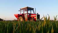 Massey Ferguson 235