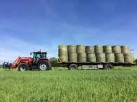 Massey Ferguson & platforma