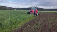 Massey Ferguson 5445 & Ares TL