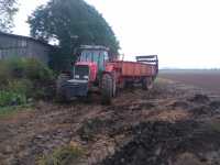 Massey Ferguson 3690 i Gilbert