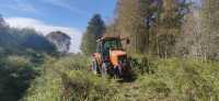 Massey Ferguson 6445 + kosiarka bijakowa Breviglieri