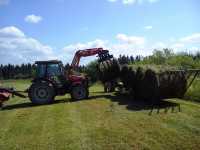 Massey Ferguson 3635