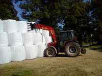 Massey Ferguson 3635 Stoll Robust F8