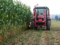 Massey Ferguson 3635