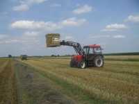 Zetor 7340 & MetalFach