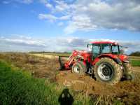 Zetor Forterra 115