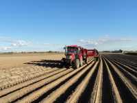 Zetor 8441 & Grimme SE140